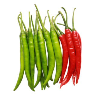 Smita Hot Pepper From Known You Seed (India) (1)-KYI